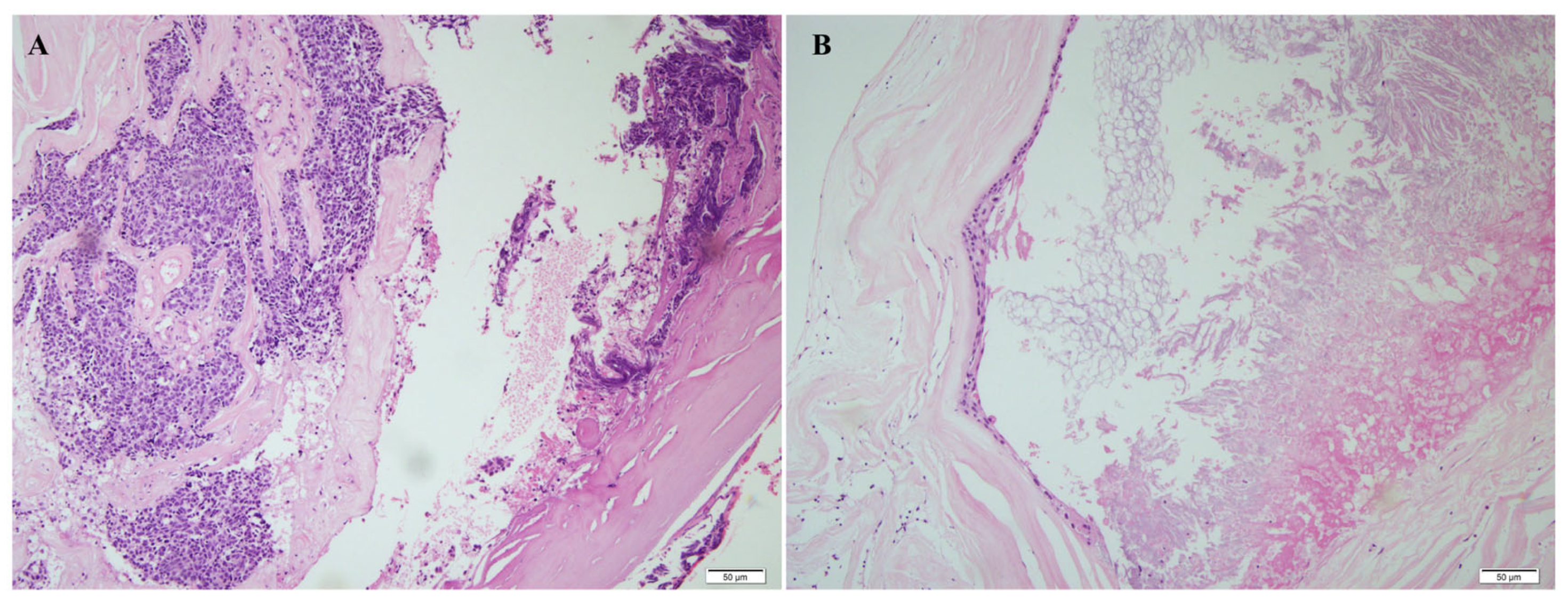 Curroncol 33 00158 g003