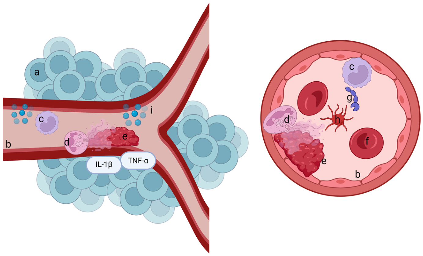 Curroncol 33 00401 g001 Curroncol 33 00401 g001