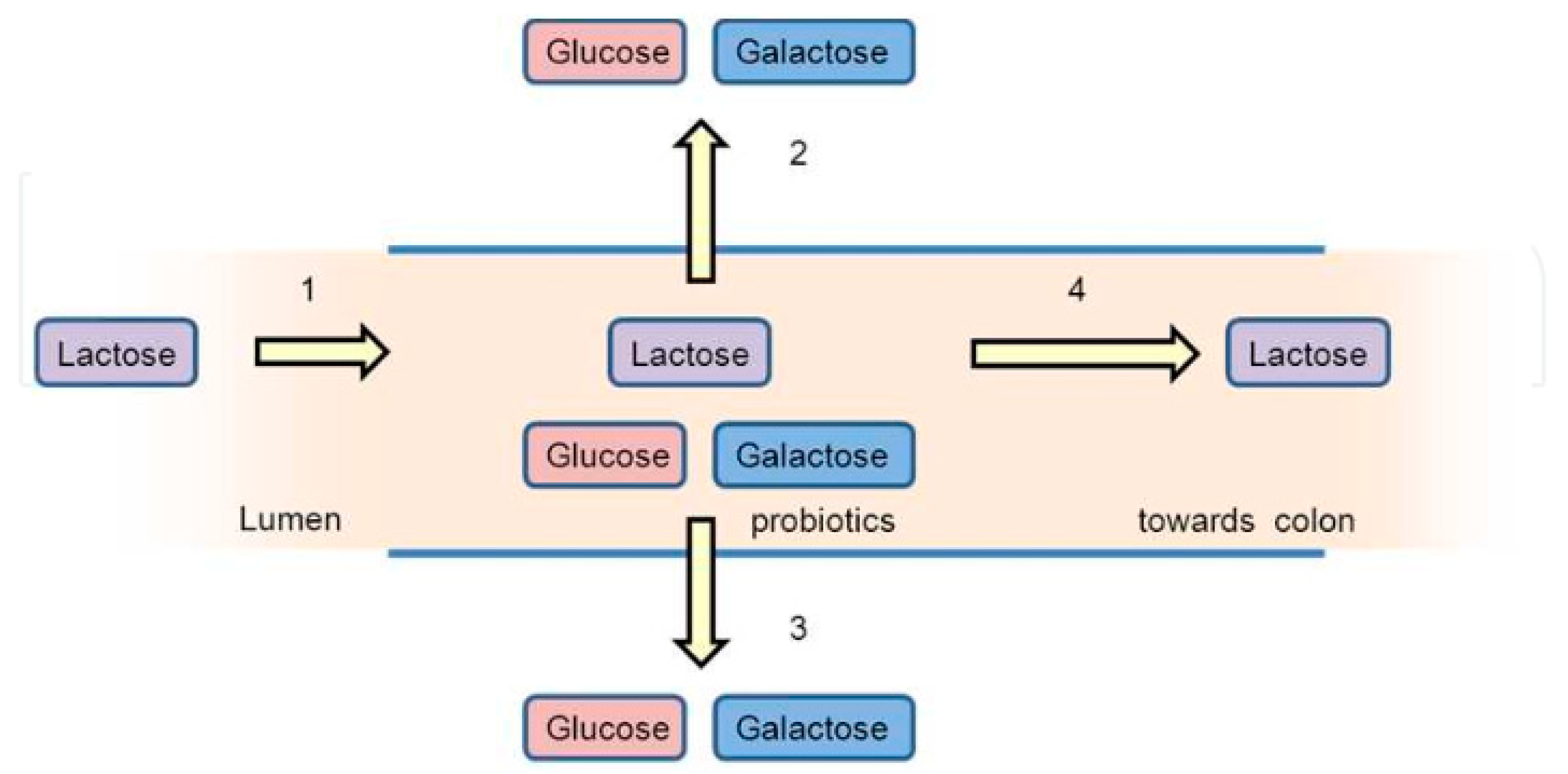 Dairy 01 00015 g002 Dairy 01 00015 g002