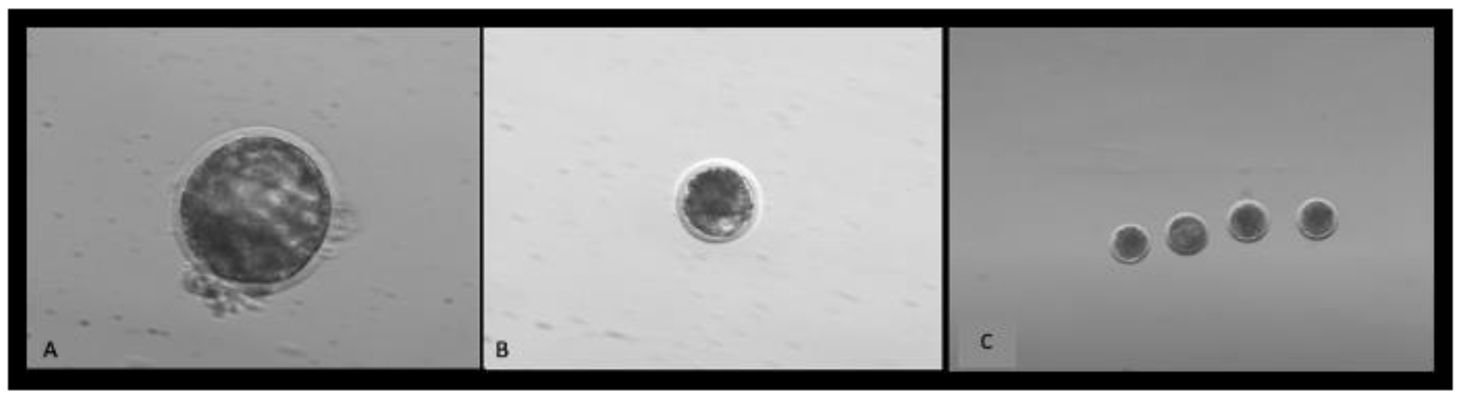 Dairy 03 00058 g003 Dairy 03 00058 g003