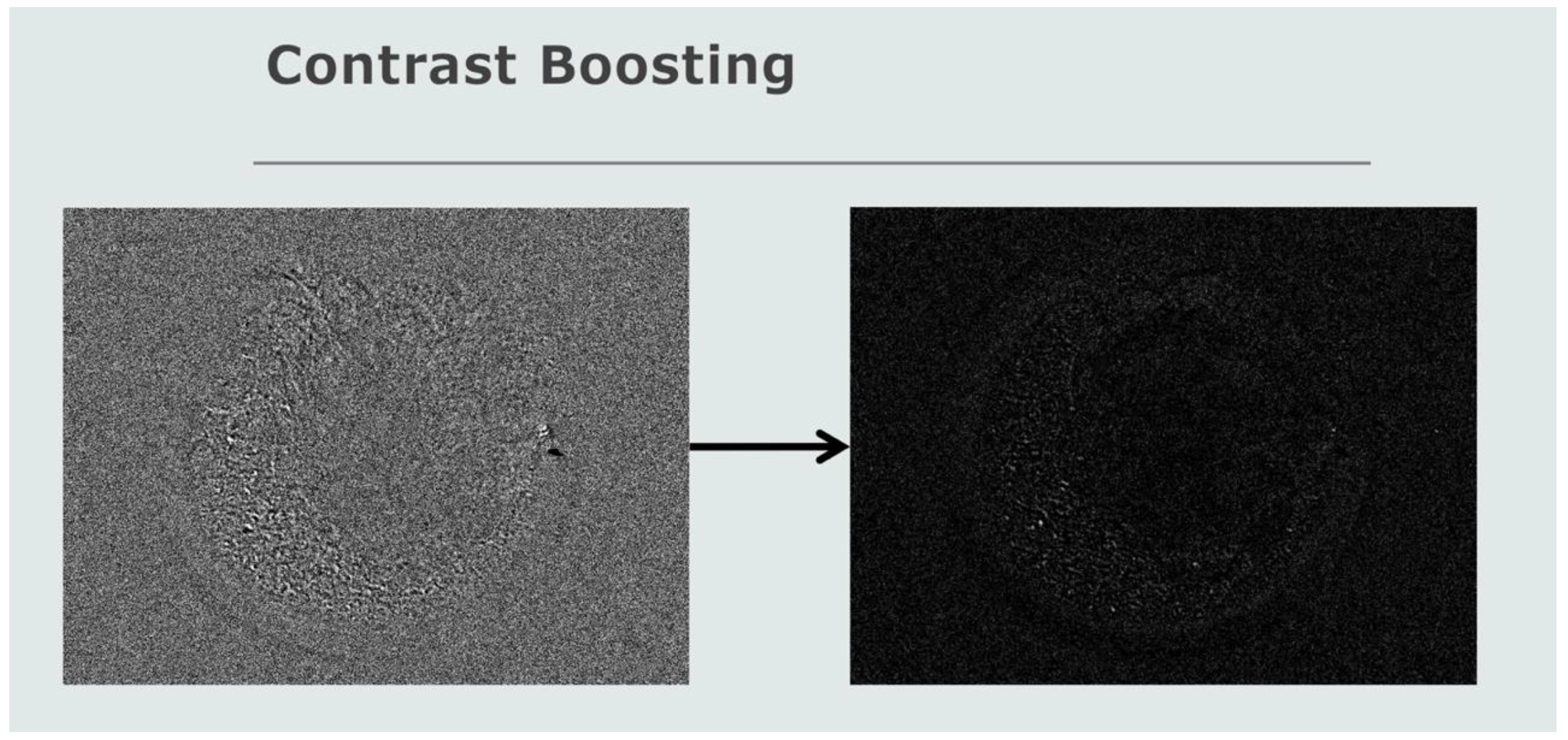 Dairy 03 00058 g005 Dairy 03 00058 g005