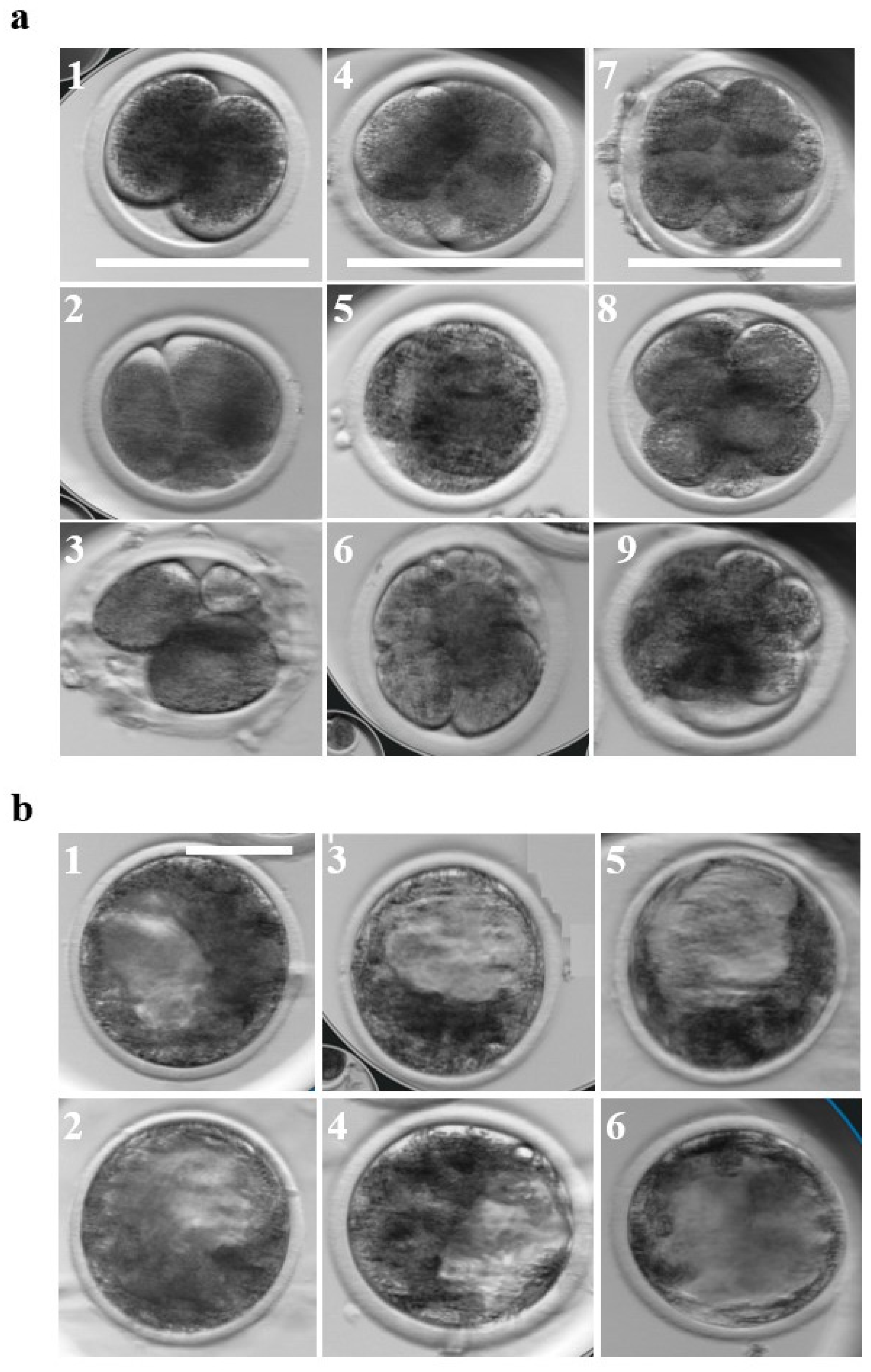 Dairy 05 00033 g001 Dairy 05 00033 g001