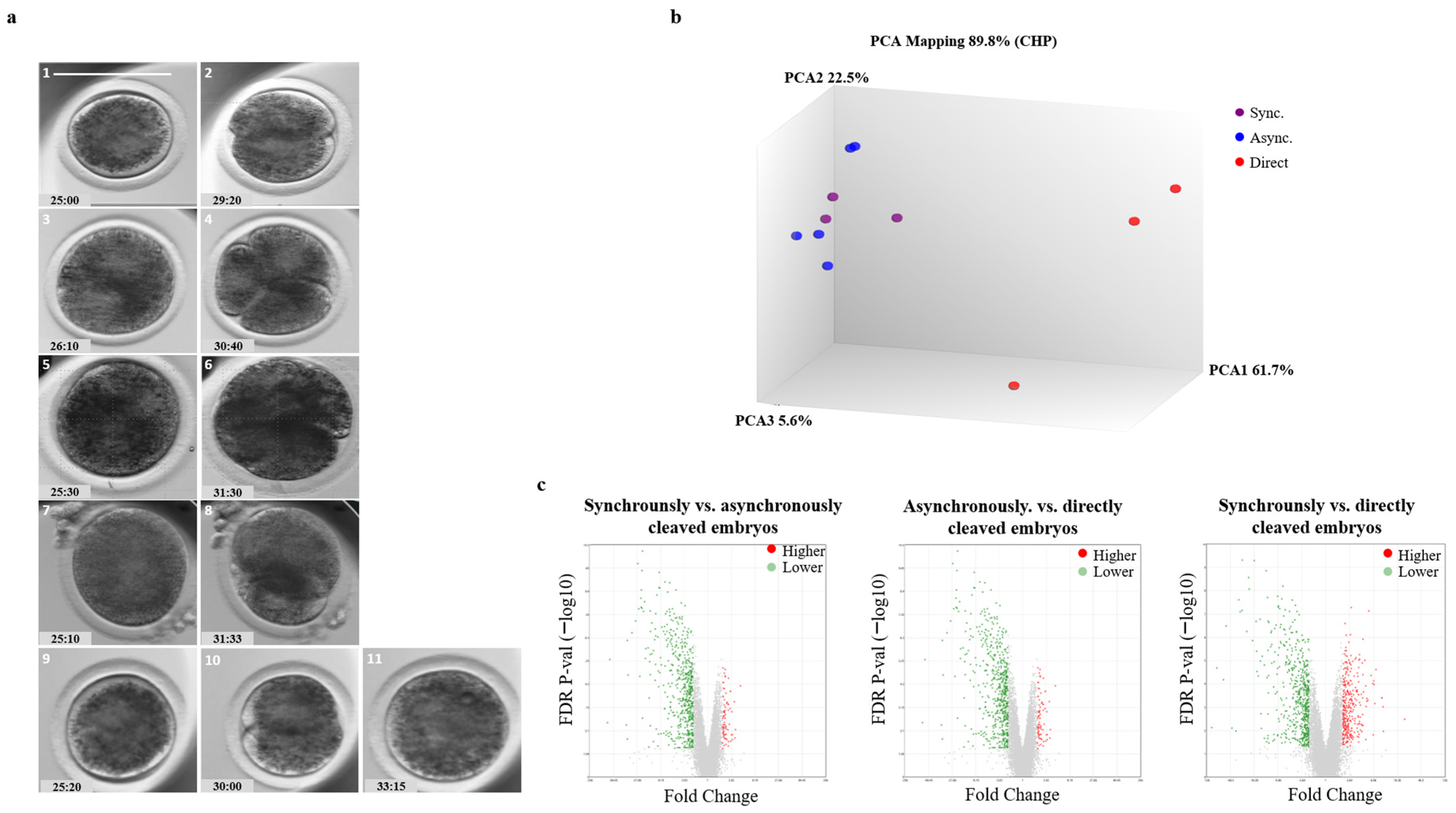 Dairy 05 00033 g003 Dairy 05 00033 g003