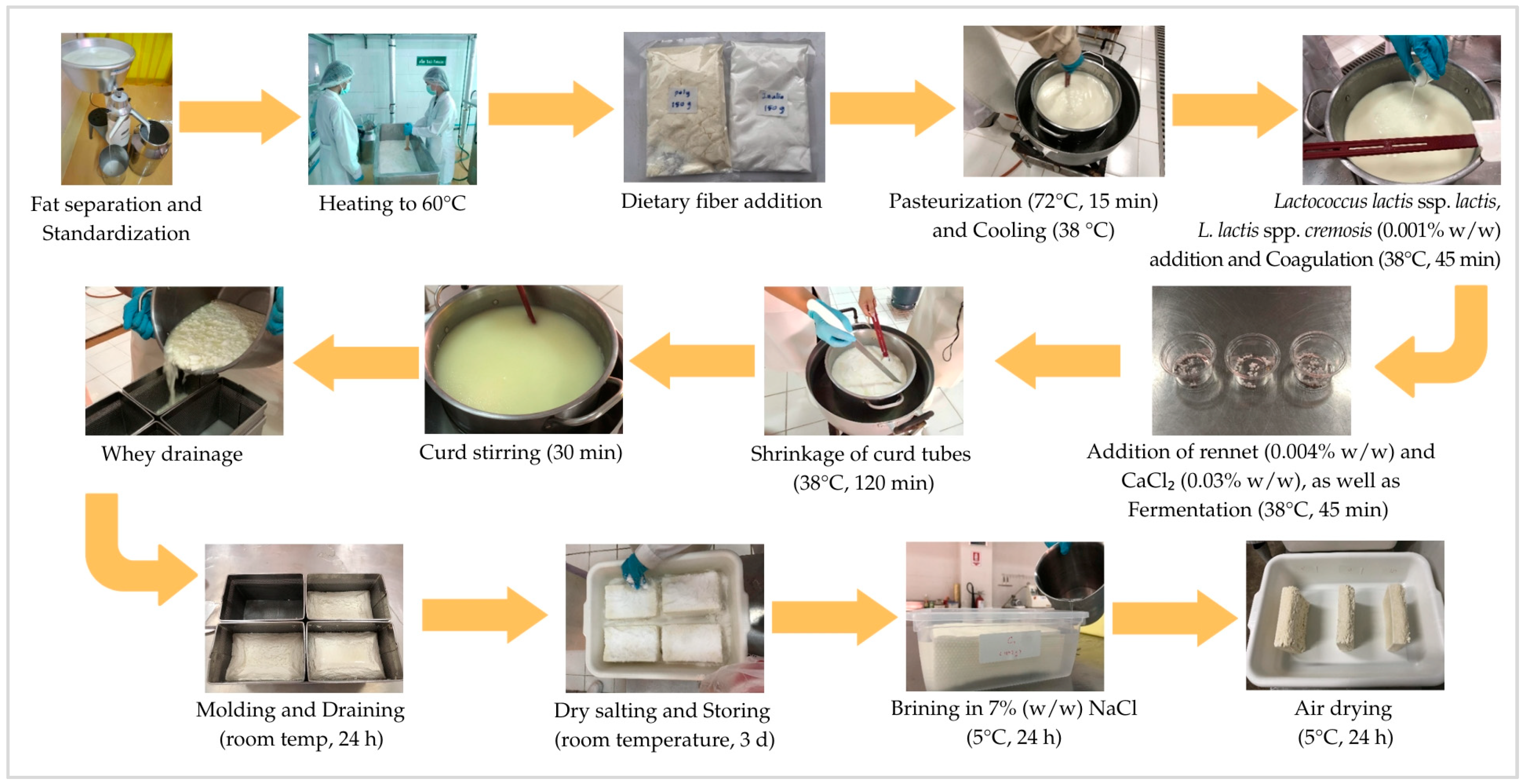 Dairy 06 00031 g001