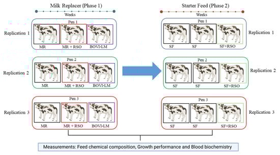 Predicted body weight (BW) across two feeding phases (phase 1: milk replacer; phase 2: starter feed) with 95% confidence intervals for each treatment group (Control, Rapeseed Oil, and Bovi-LM). Solid and dashed lines represent predicted BW over time in Phase 1 and Phase 2, respectively. Dotted black lines indicate average phase-level slopes based on a reduced model. Slope estimates for each treatment and phase are annotated within each panel.