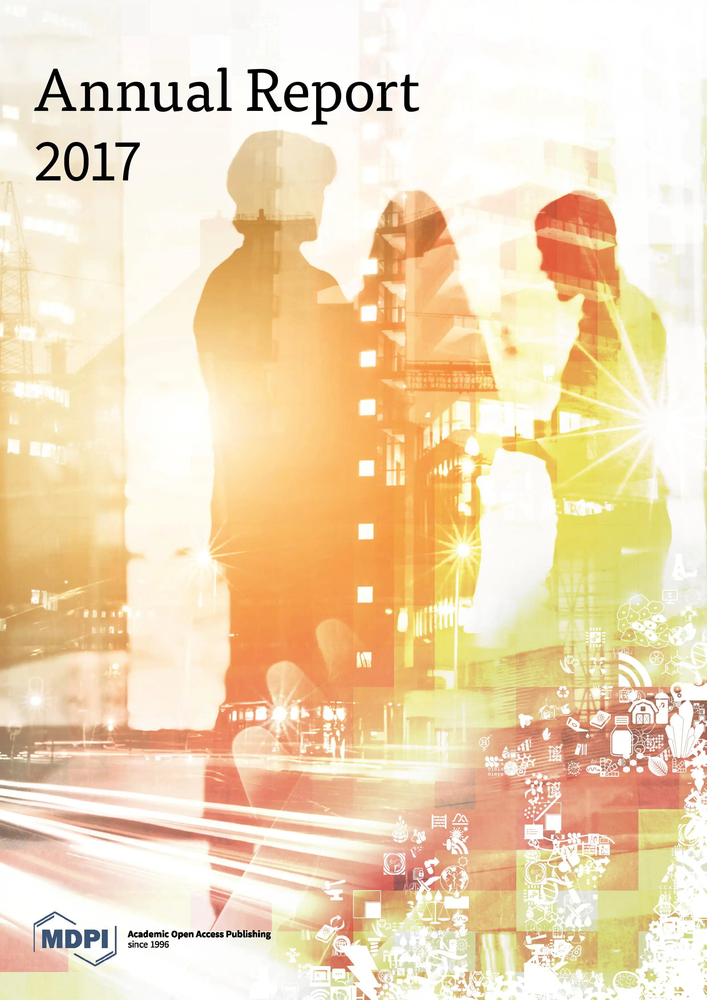 Annual report for 2017