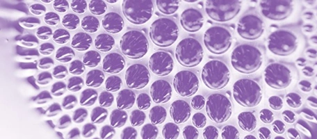 Condensed Matter