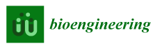 Bioeng Logo