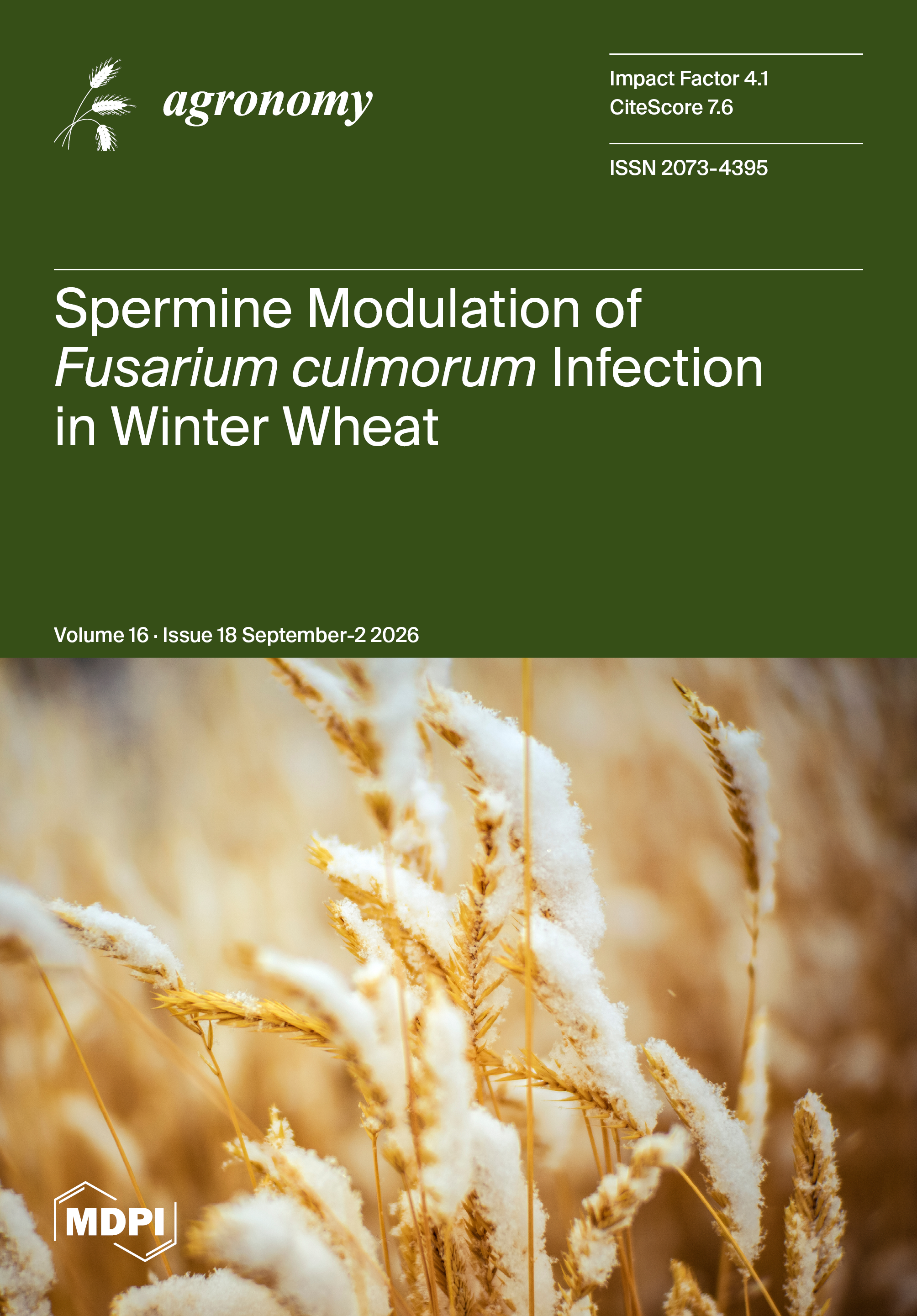 Journal Issue Cover Image