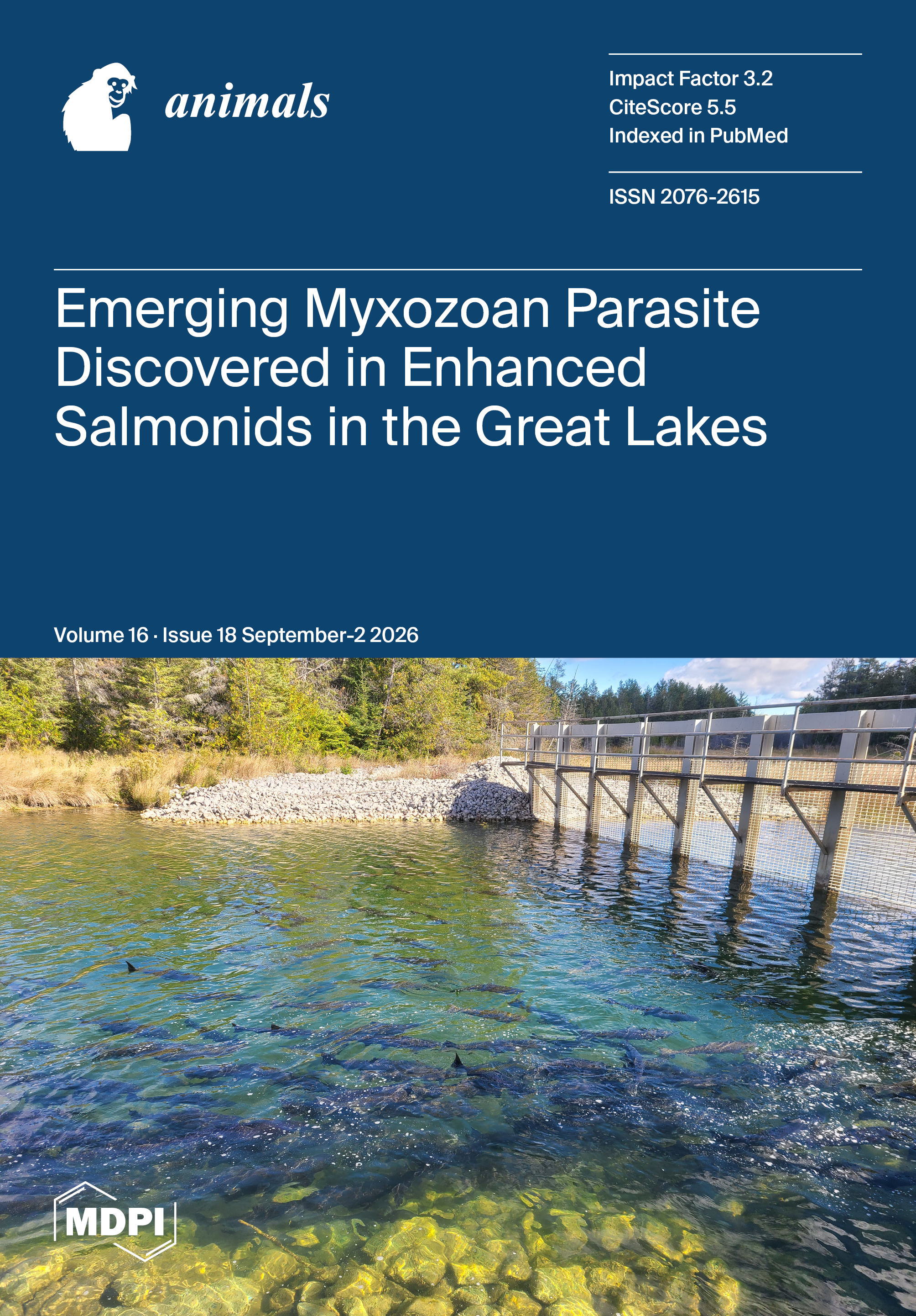Journal Issue Cover Image
