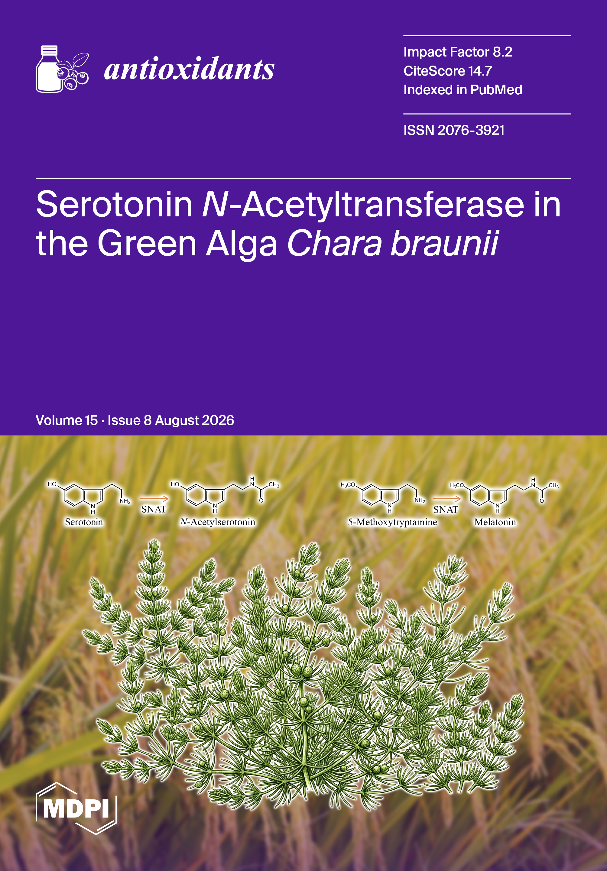 Journal Issue Cover Image