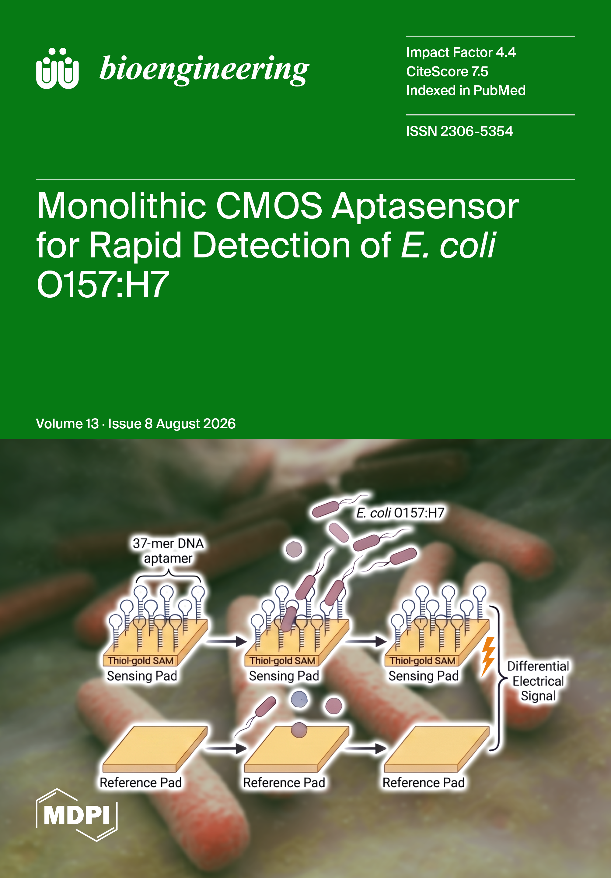 Journal Issue Cover Image