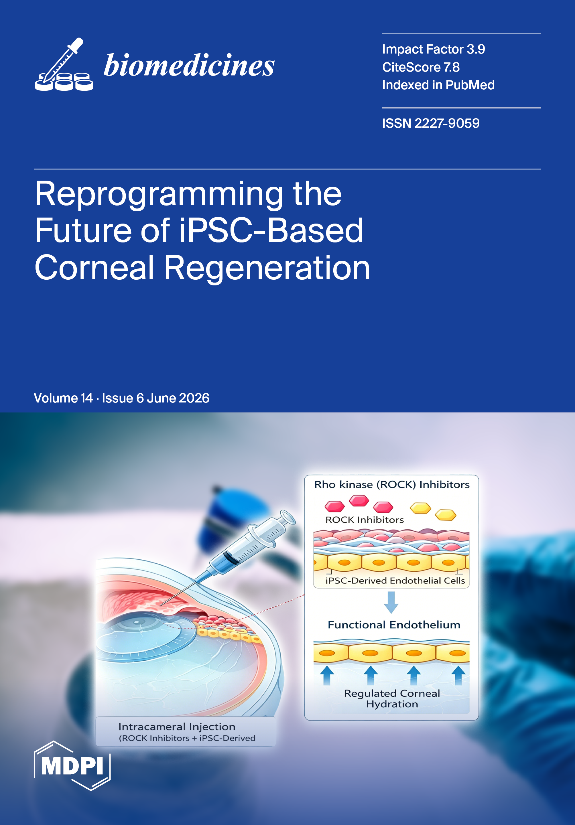 Journal Issue Cover Image