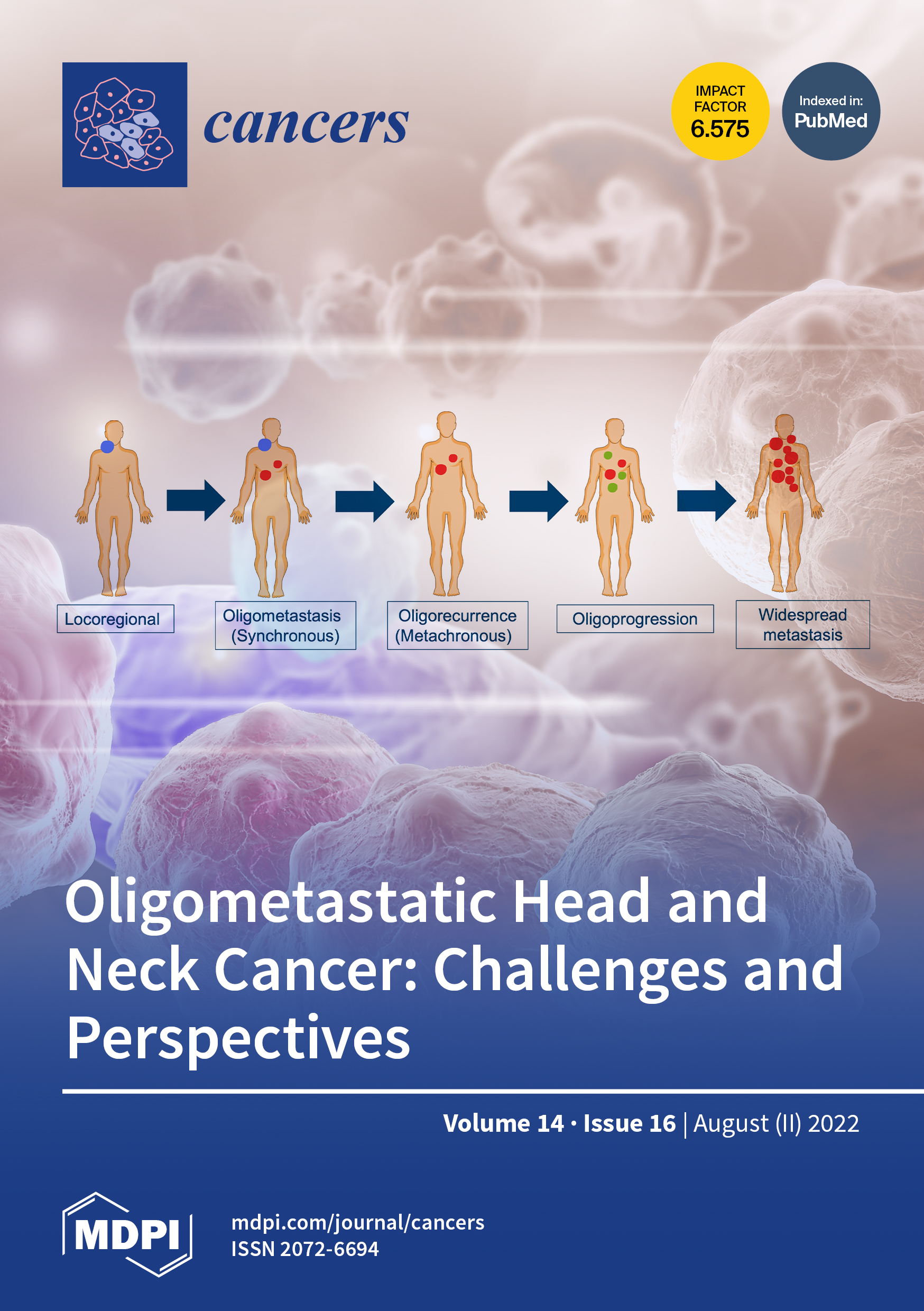Journal Issue Cover Image