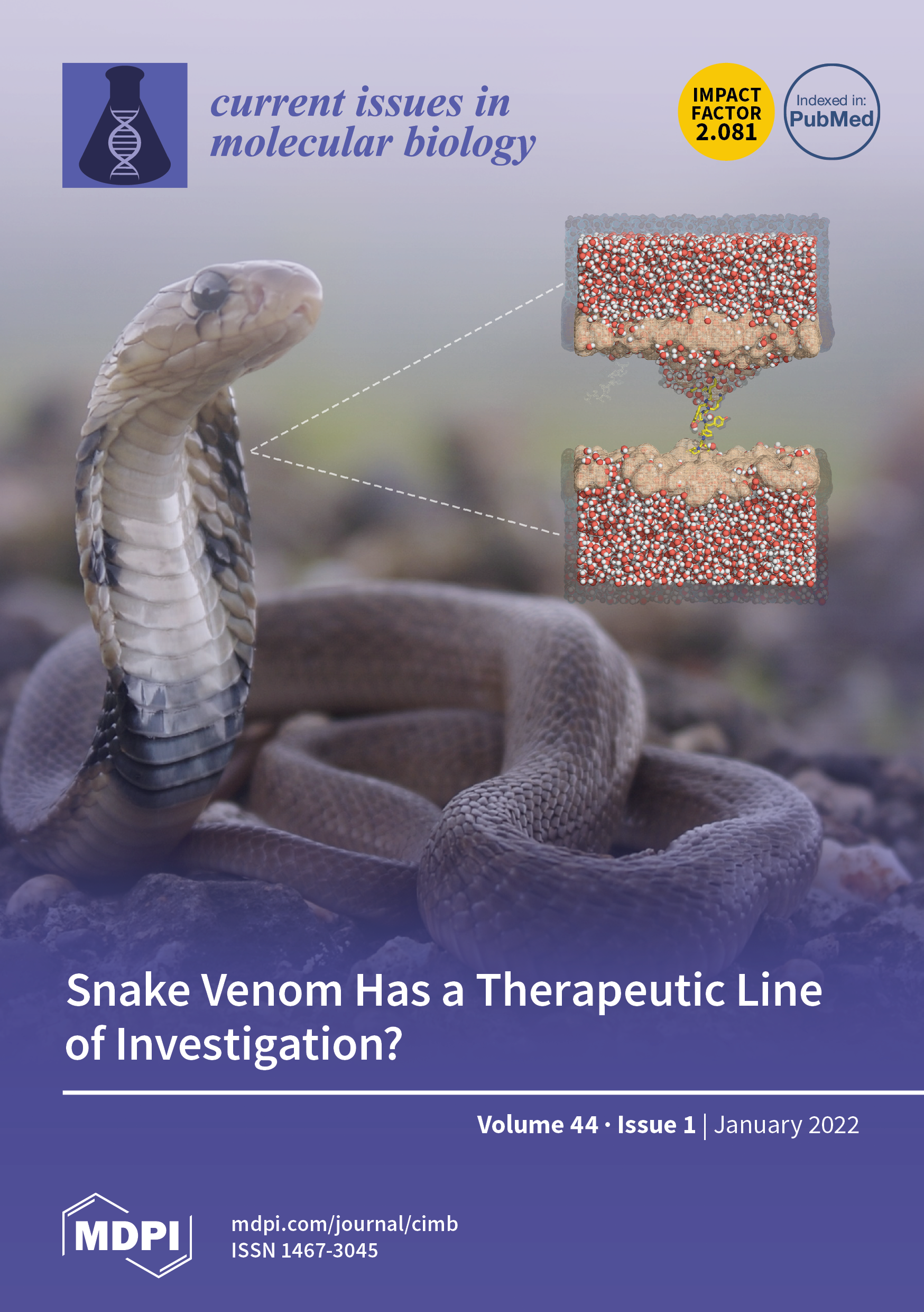 Journal Issue Cover Image