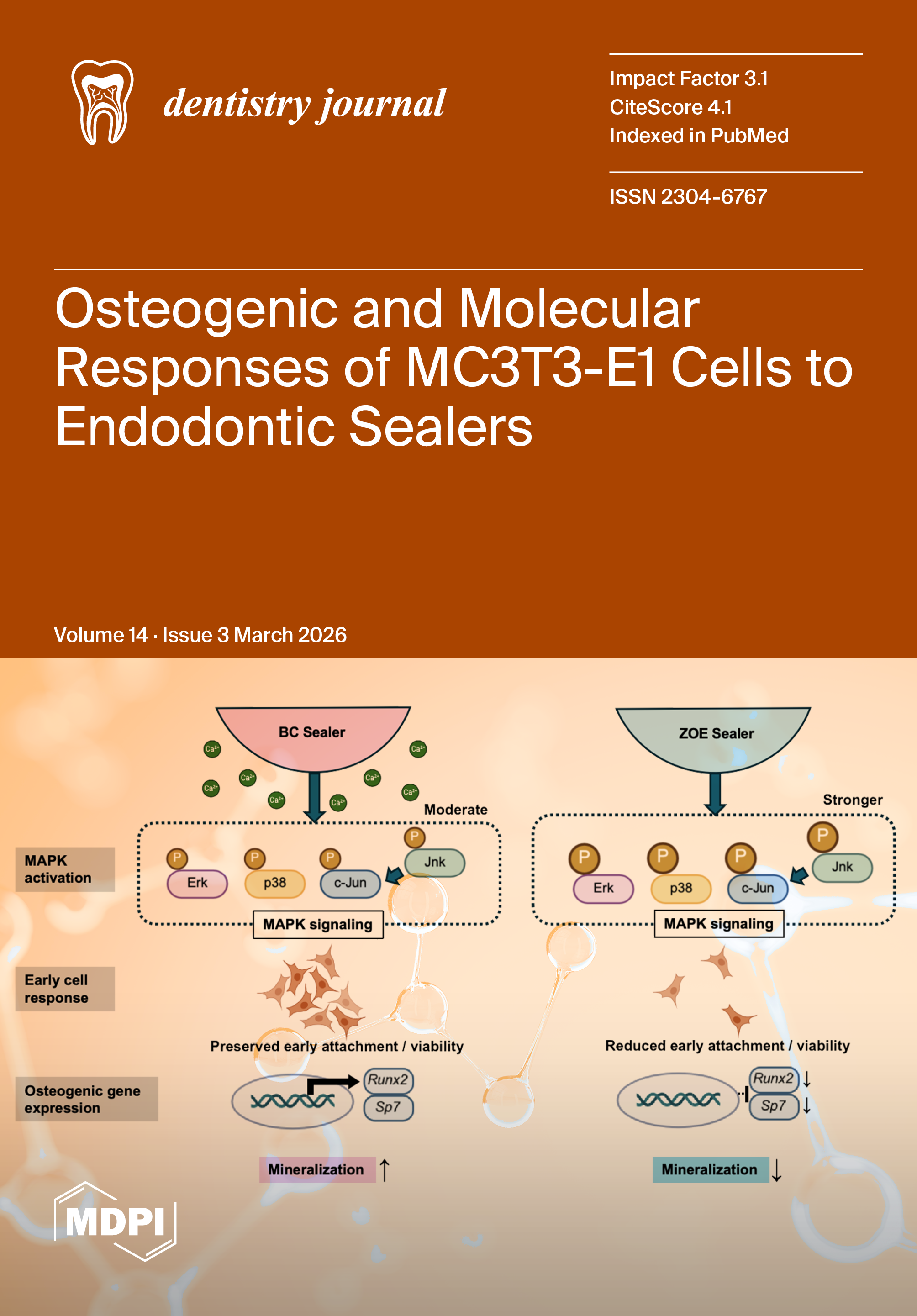 Journal Issue Cover Image