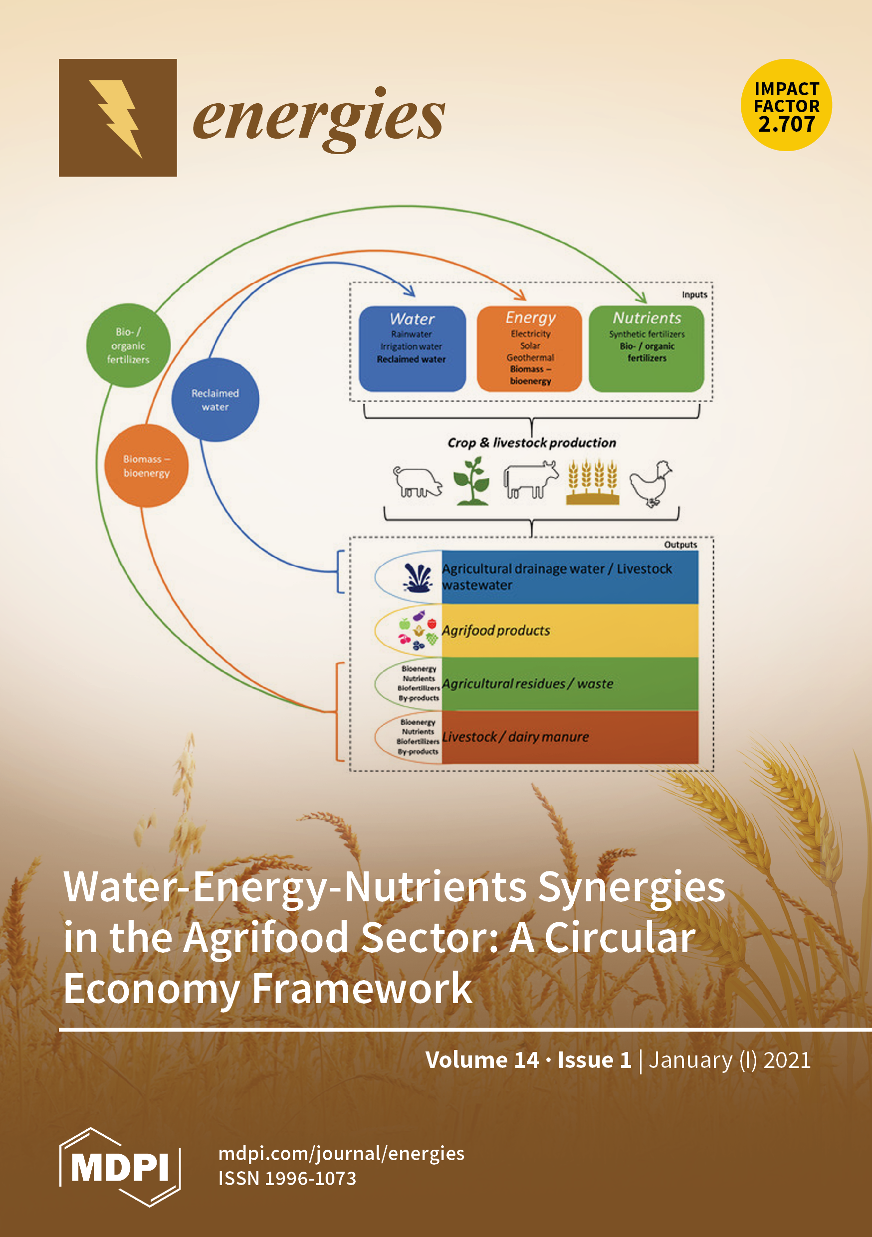 Journal Issue Cover Image