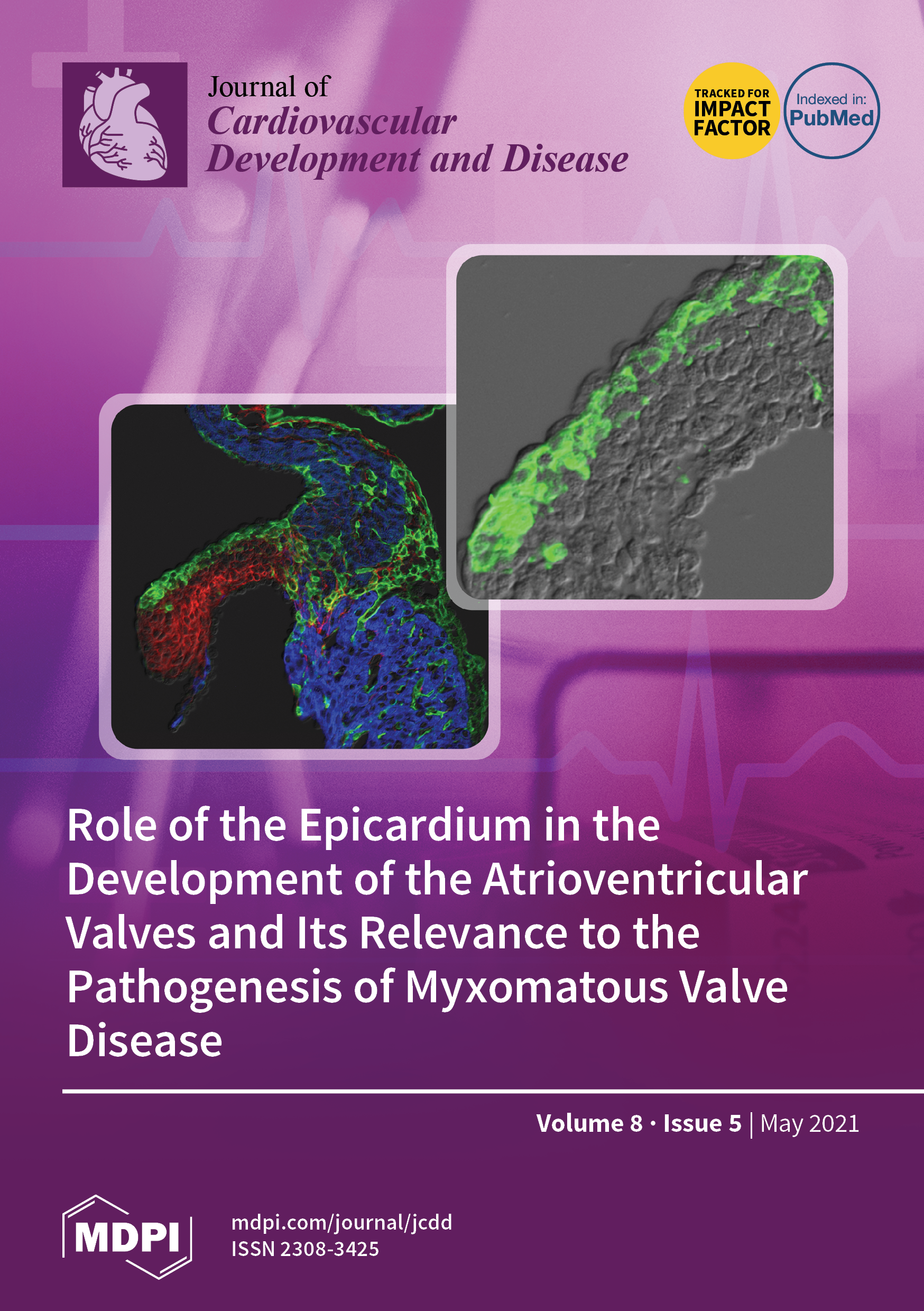 Journal Issue Cover Image