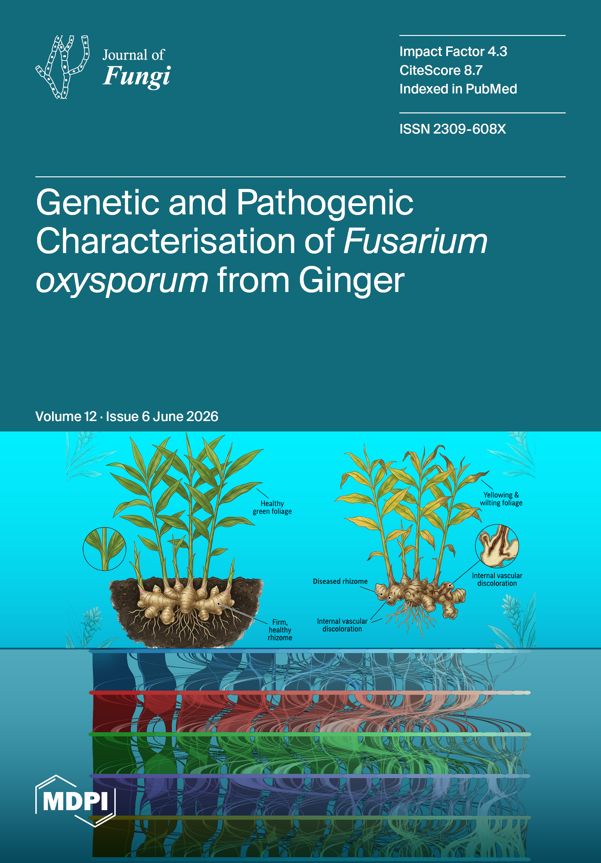 Volume 12, Issue 6