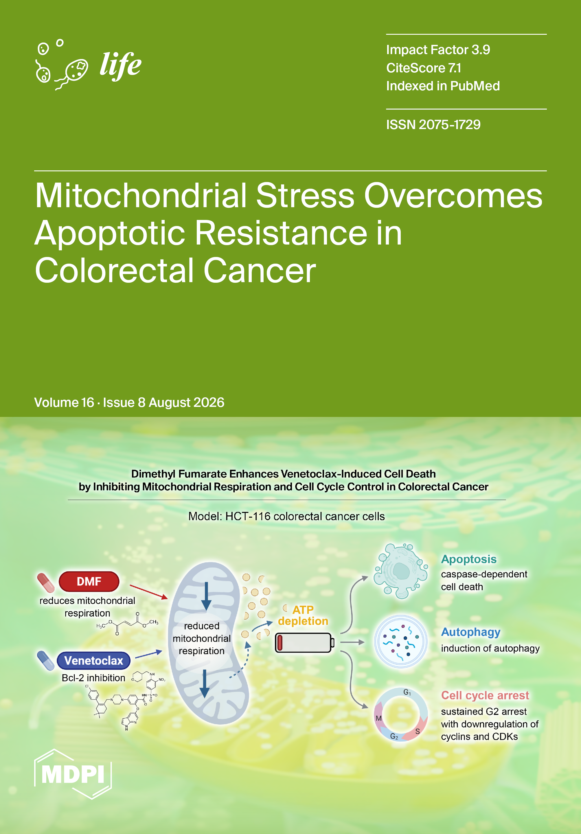 Journal Issue Cover Image