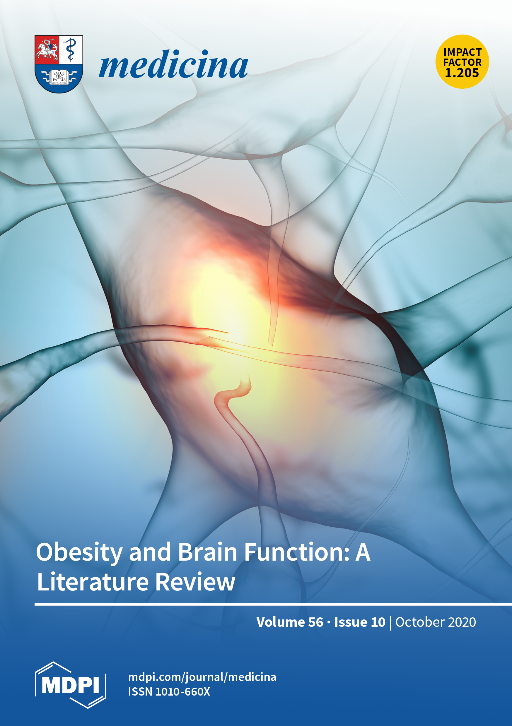 Journal Issue Cover Image