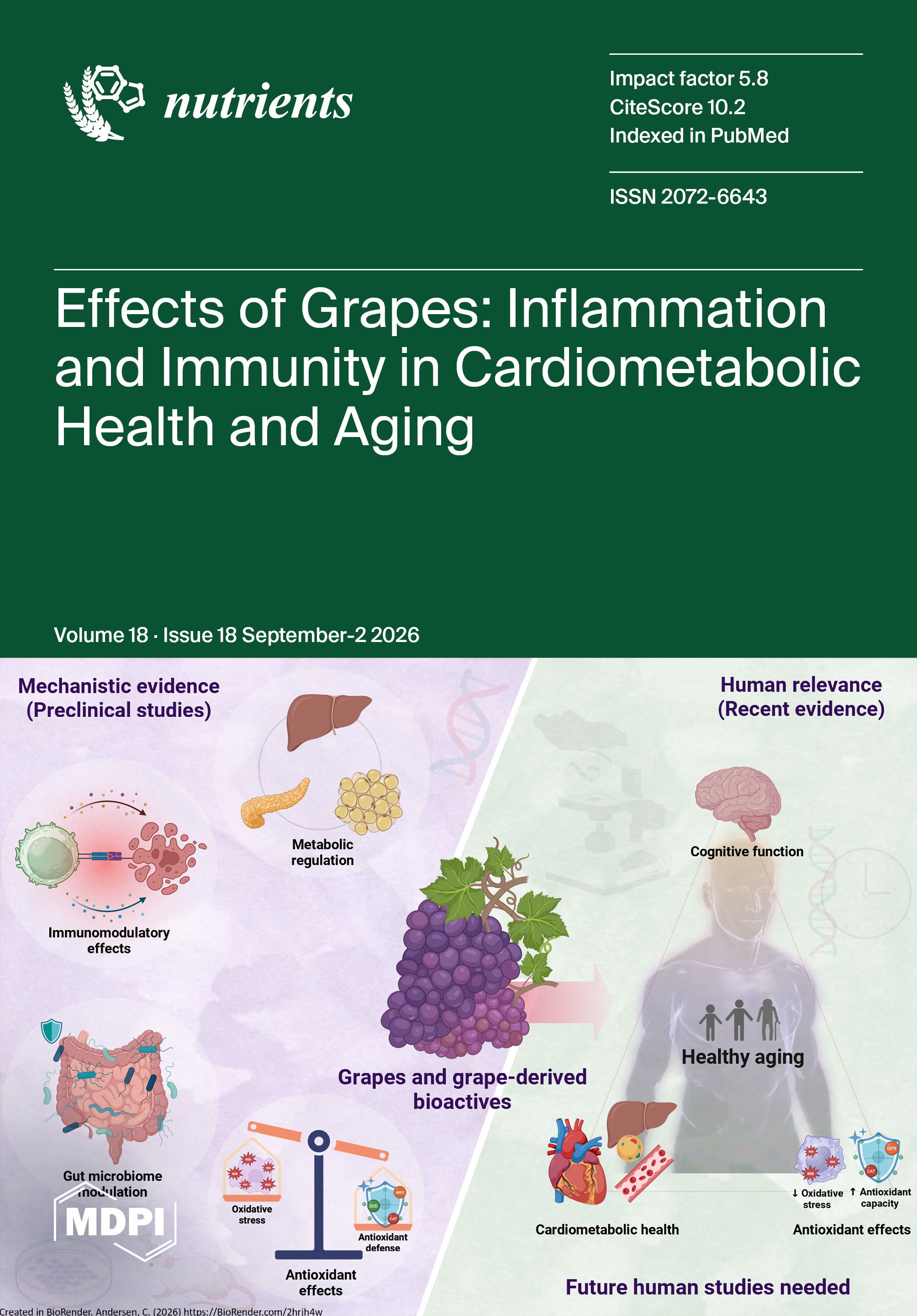 Journal Issue Cover Image