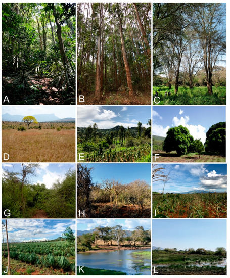 Data 07 00036 g0a1 550