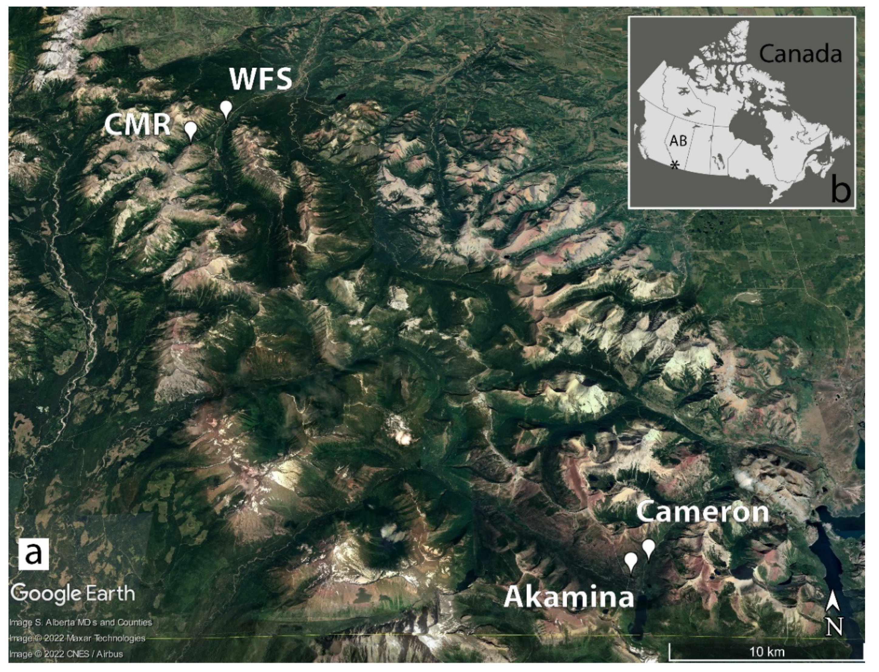 Data 07 00073 g001