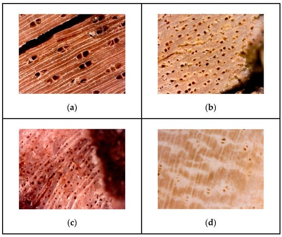 Data 07 00111 g002 550