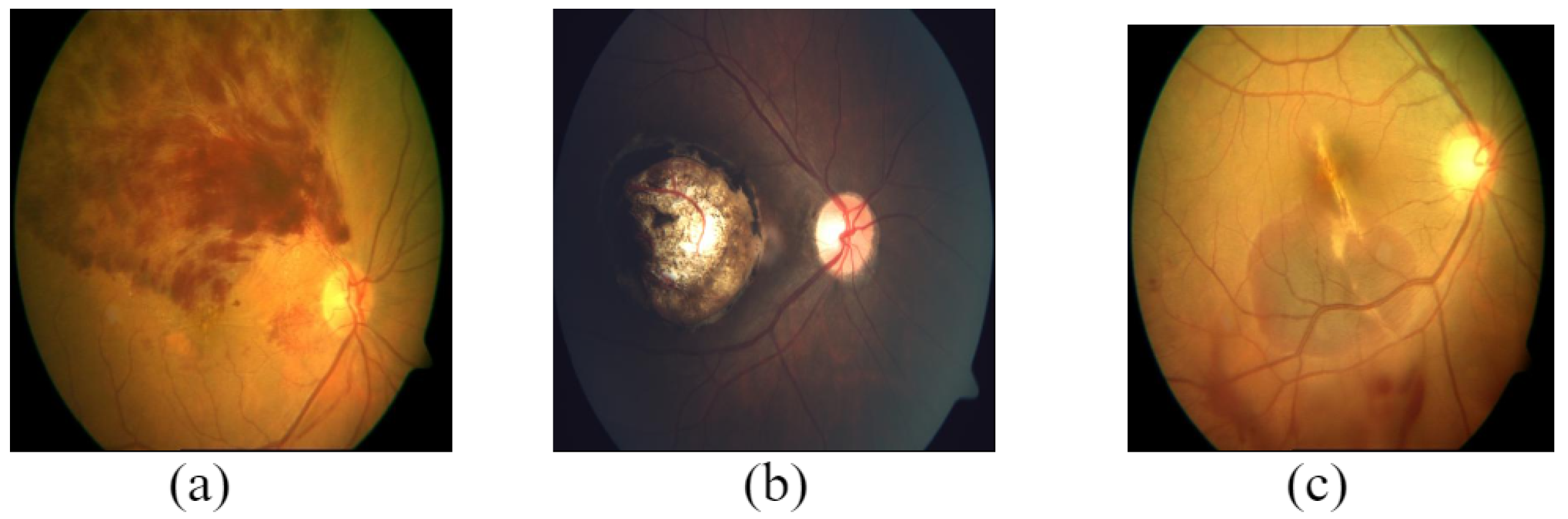 Data 08 00029 g003 Data 08 00029 g003