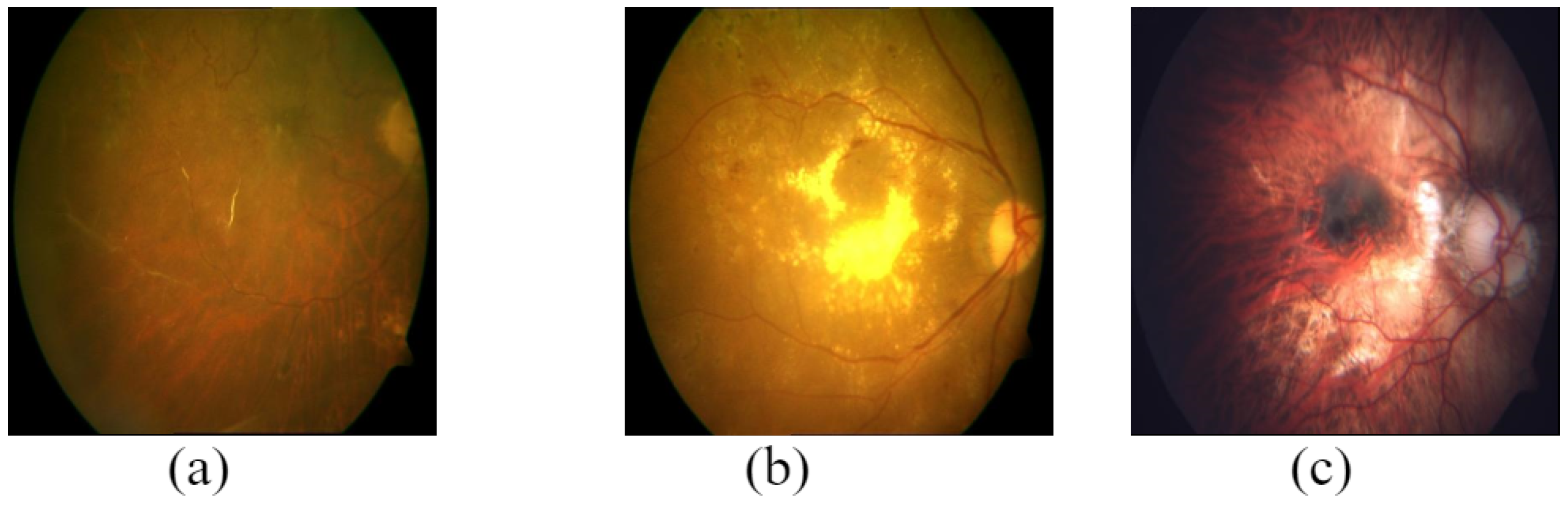 Data 08 00029 g004 Data 08 00029 g004