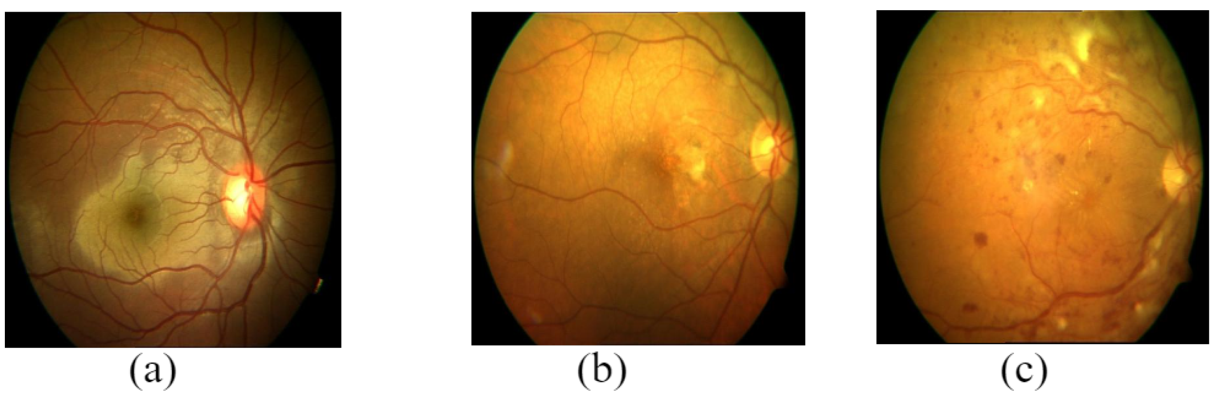 Data 08 00029 g005 Data 08 00029 g005