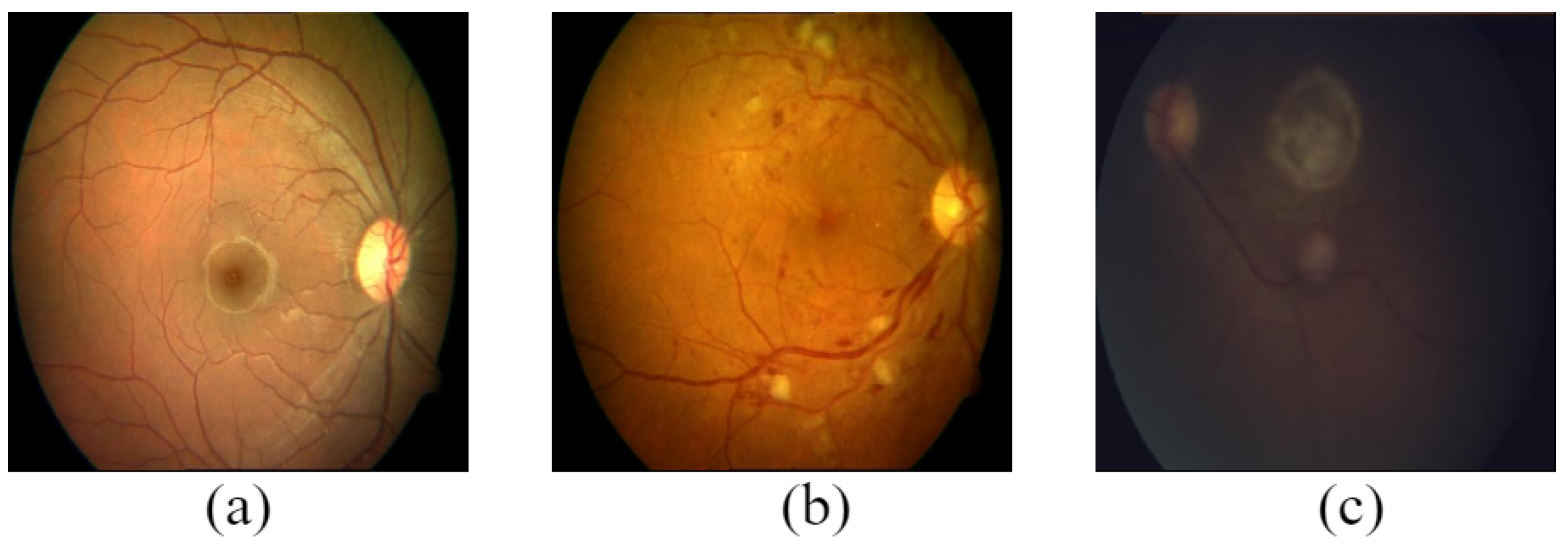Data 08 00029 g006 Data 08 00029 g006