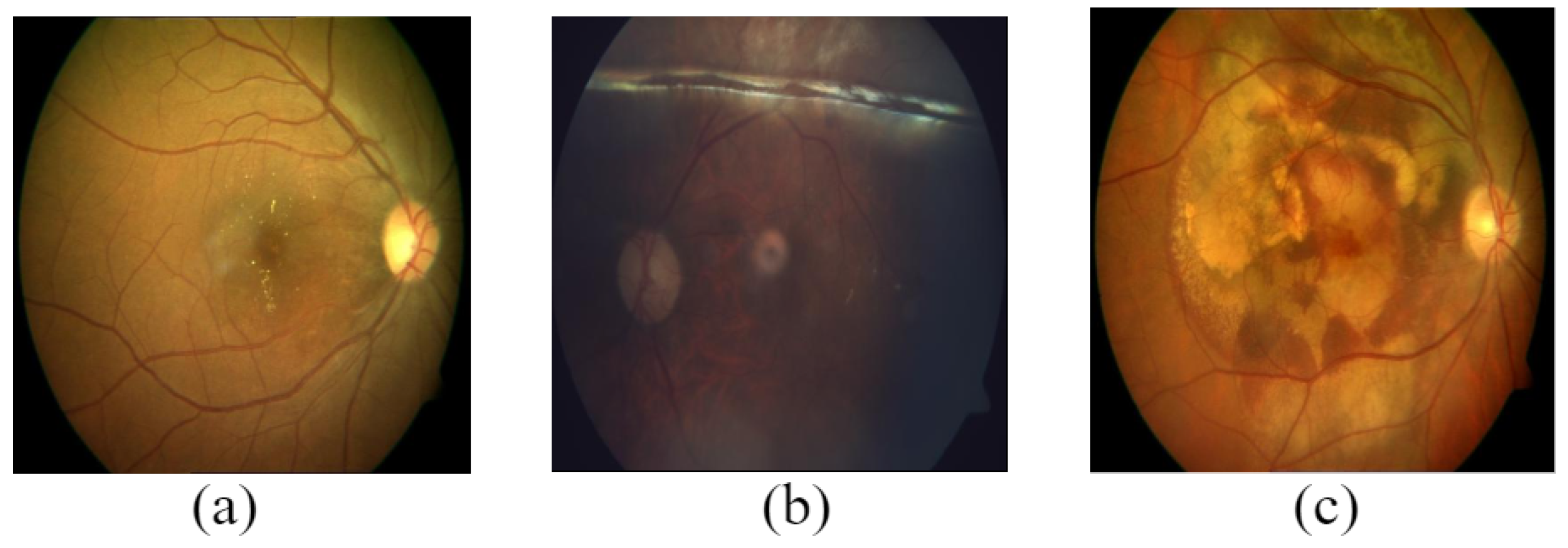 Data 08 00029 g008 Data 08 00029 g008