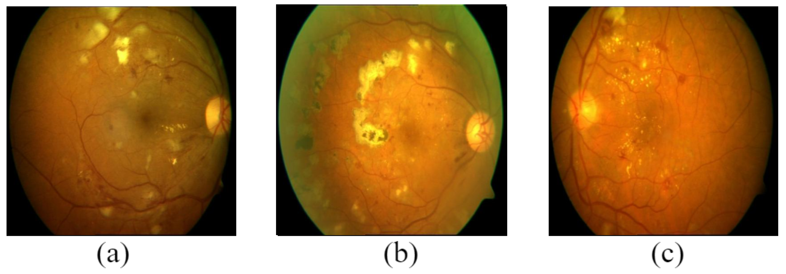 Data 08 00029 g010 Data 08 00029 g010