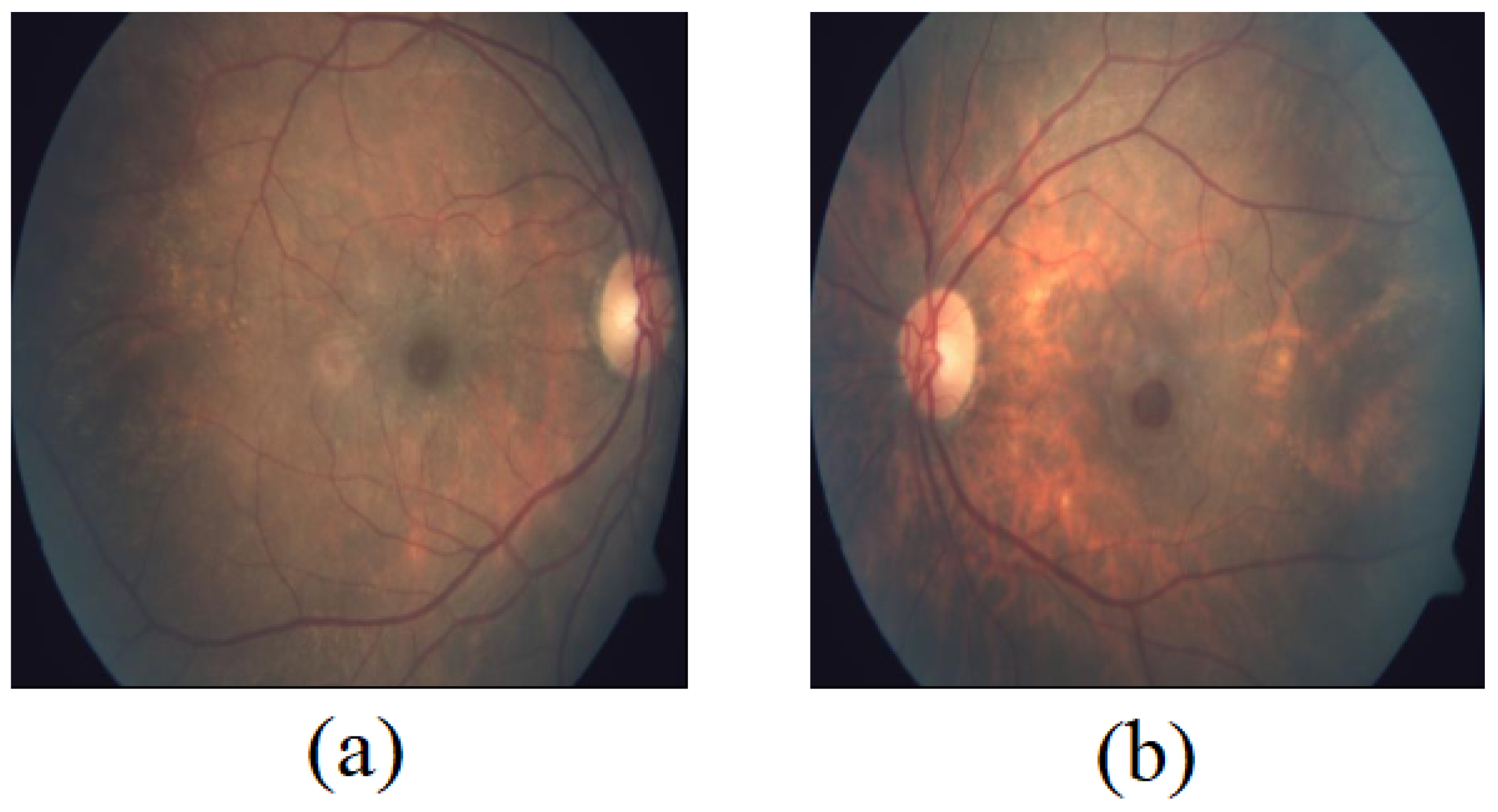 Data 08 00029 g011 Data 08 00029 g011