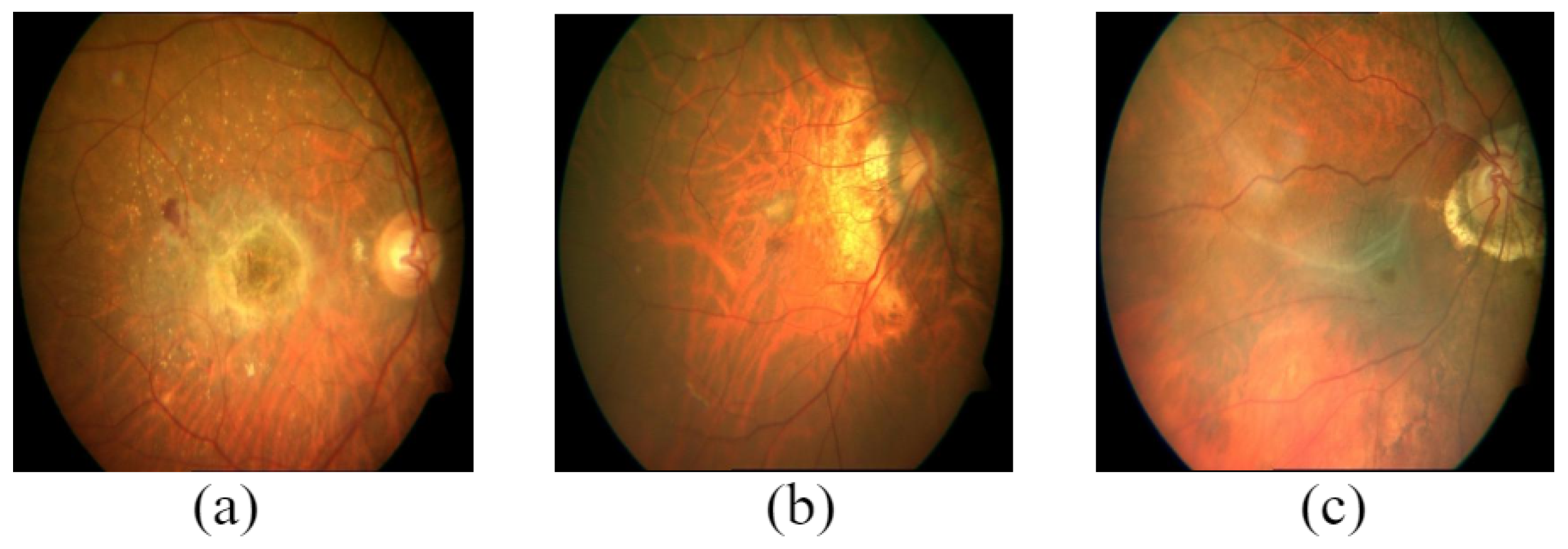 Data 08 00029 g012 Data 08 00029 g012