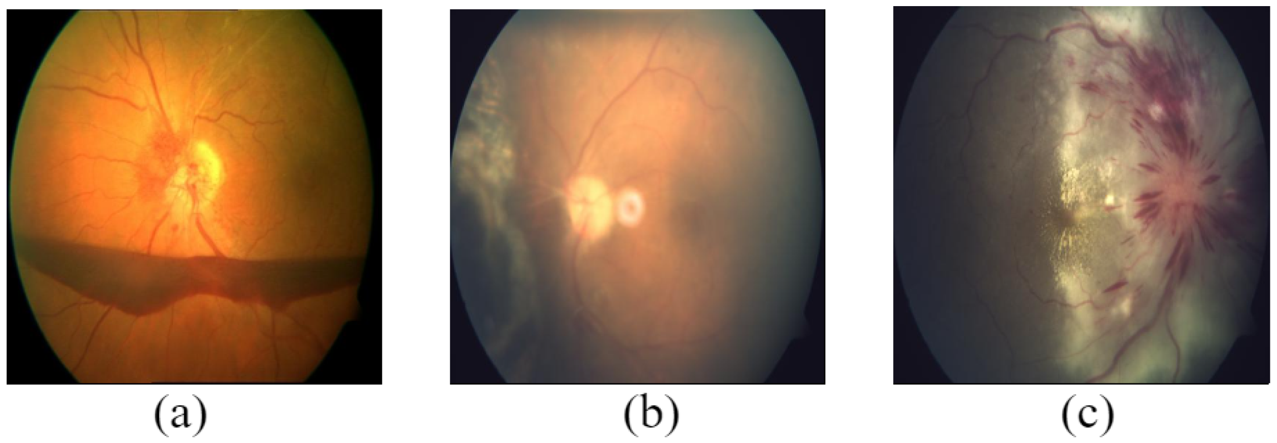 Data 08 00029 g013 Data 08 00029 g013
