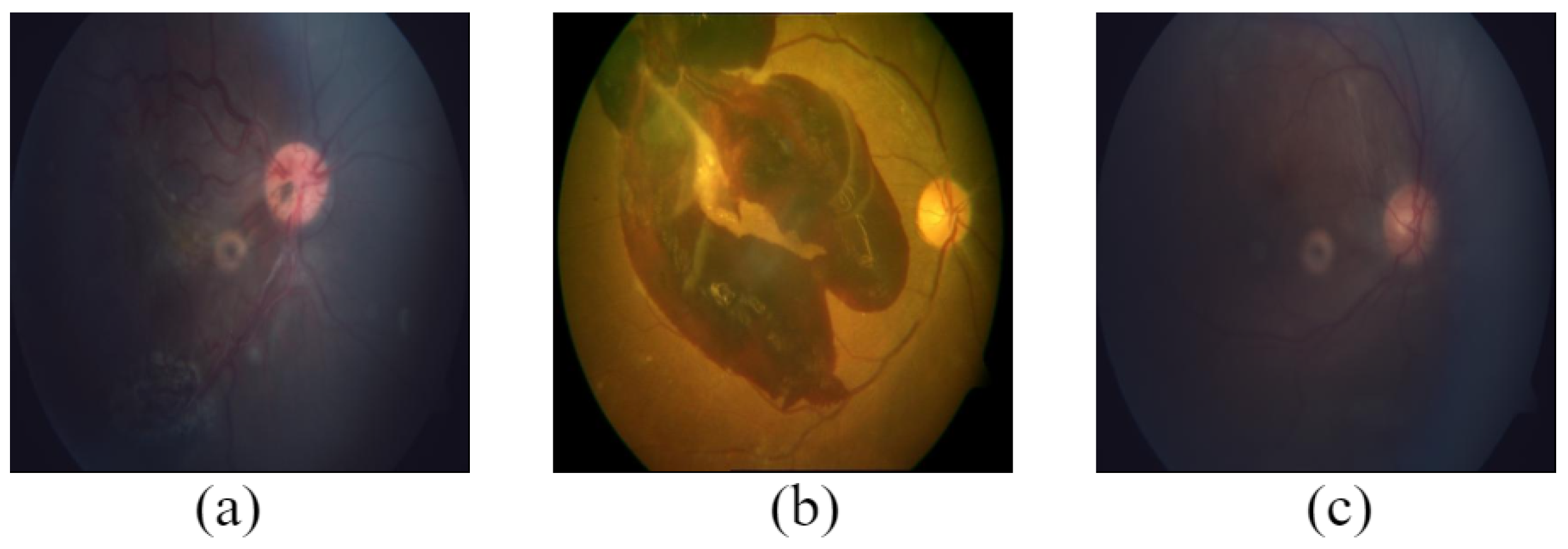 Data 08 00029 g014 Data 08 00029 g014
