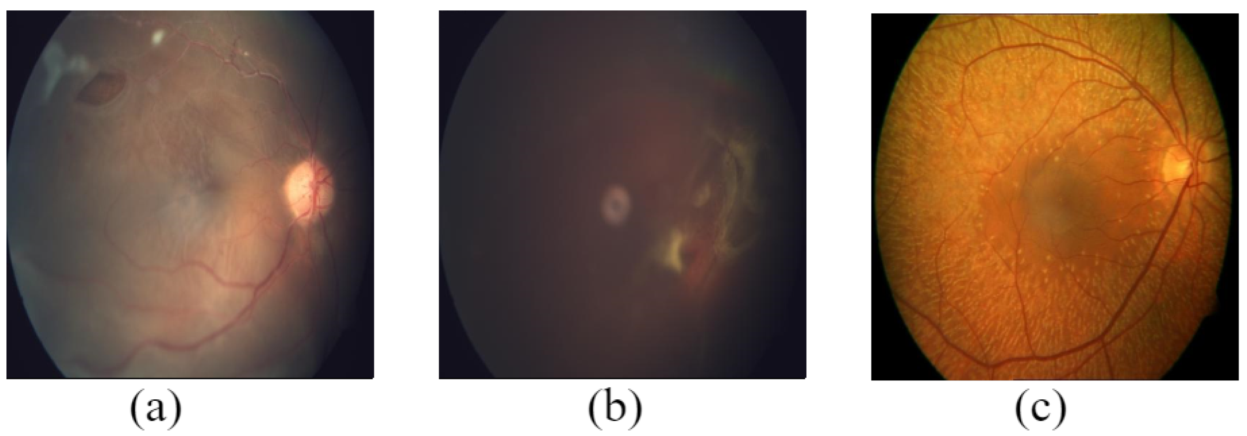 Data 08 00029 g015 Data 08 00029 g015