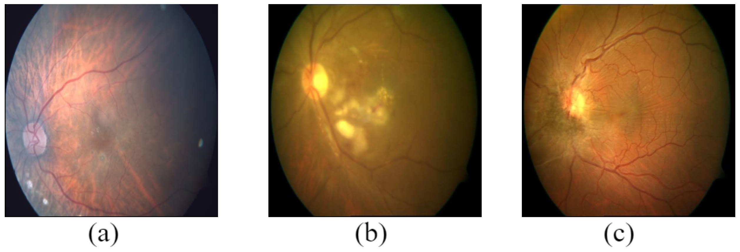 Data 08 00029 g016 Data 08 00029 g016