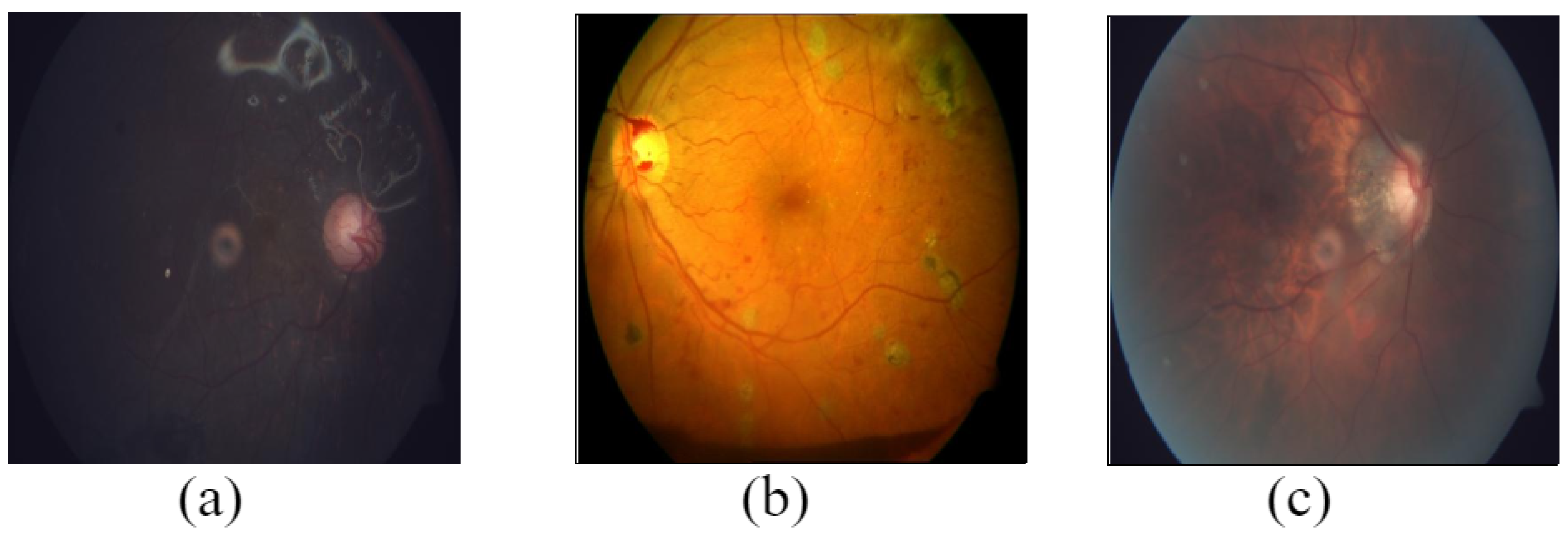 Data 08 00029 g017 Data 08 00029 g017
