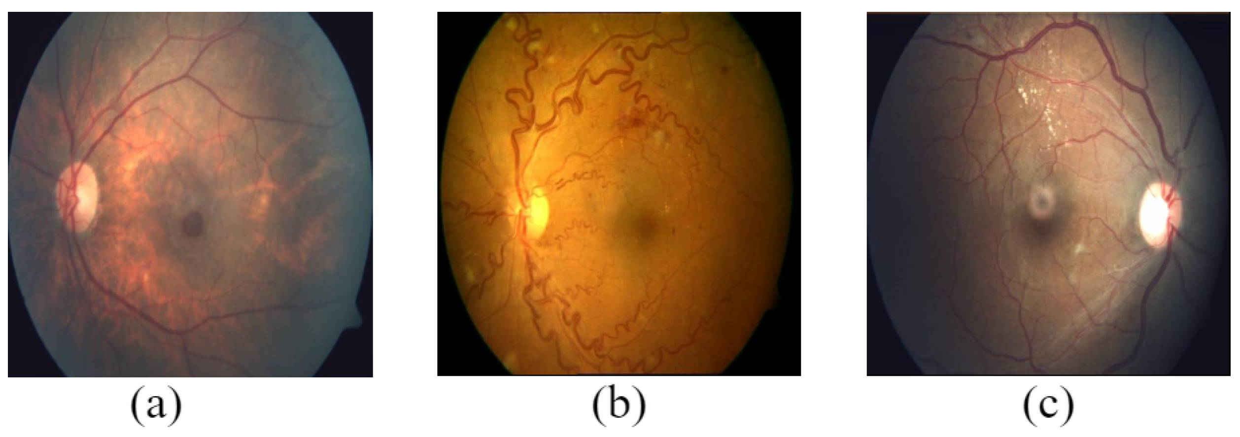 Data 08 00029 g018 Data 08 00029 g018