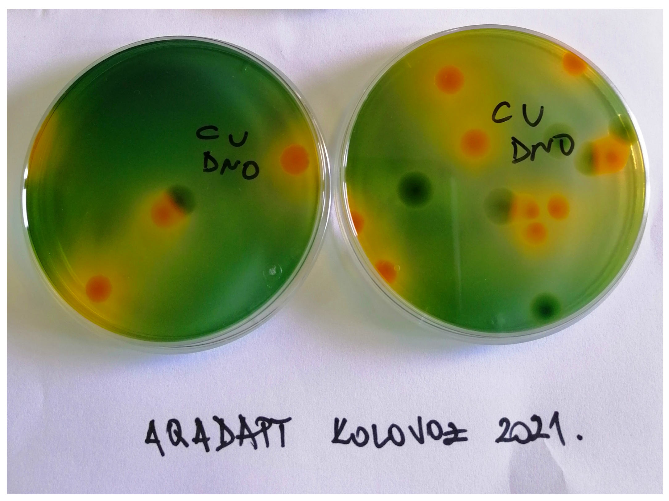 Data 08 00055 g002 Data 08 00055 g002