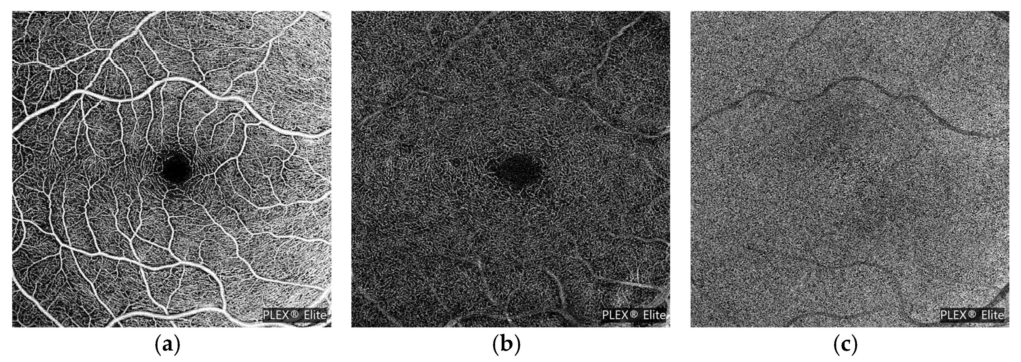 Data 08 00147 g001 Data 08 00147 g001