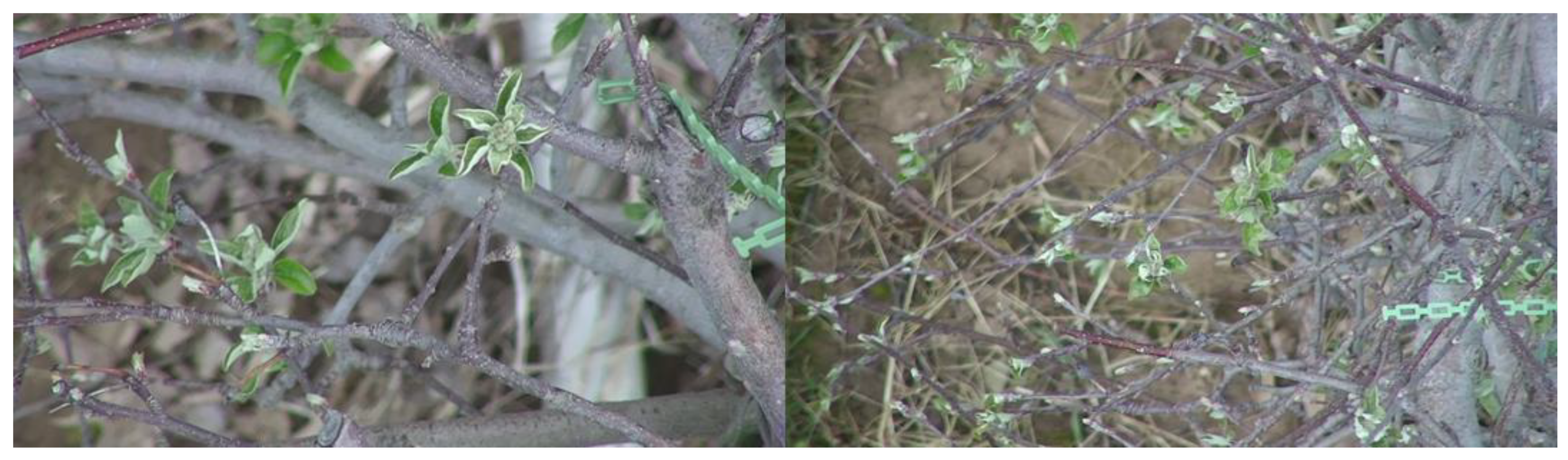 Data 09 00036 g015 Data 09 00036 g015
