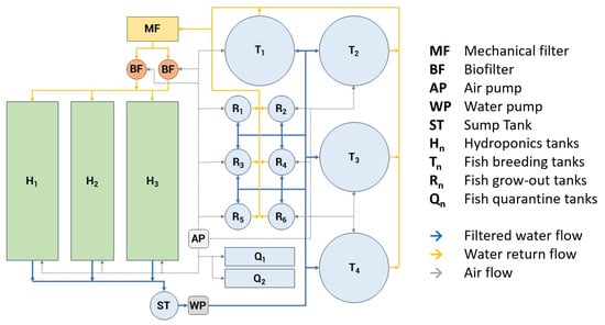 Schematic of the recirculating aquaponic system (RAS) with rearing, solids removal, biofilters, aeration, pumps, and hydroponic grow beds; solid arrows indicate water flow, and dashed arrows indicate air flow.