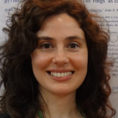 Prof. Dr. Sónia Carabineiro avatar image