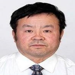 Prof. Dr. Hongnian Yu avatar image