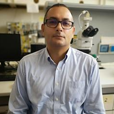 Dr. Gianluca Di Profio avatar image